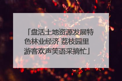 盘活土地资源发展特色林业经济 荔枝园里游客欢声笑语采摘忙